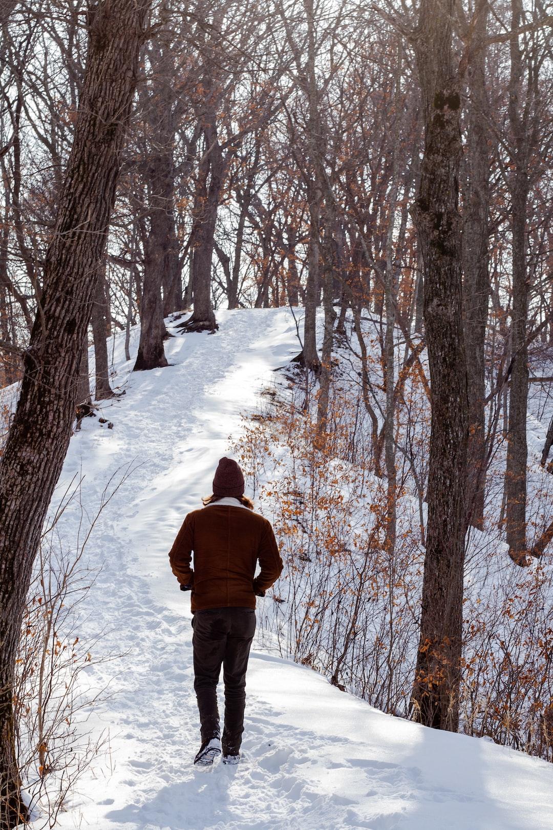 3. Venture Forth