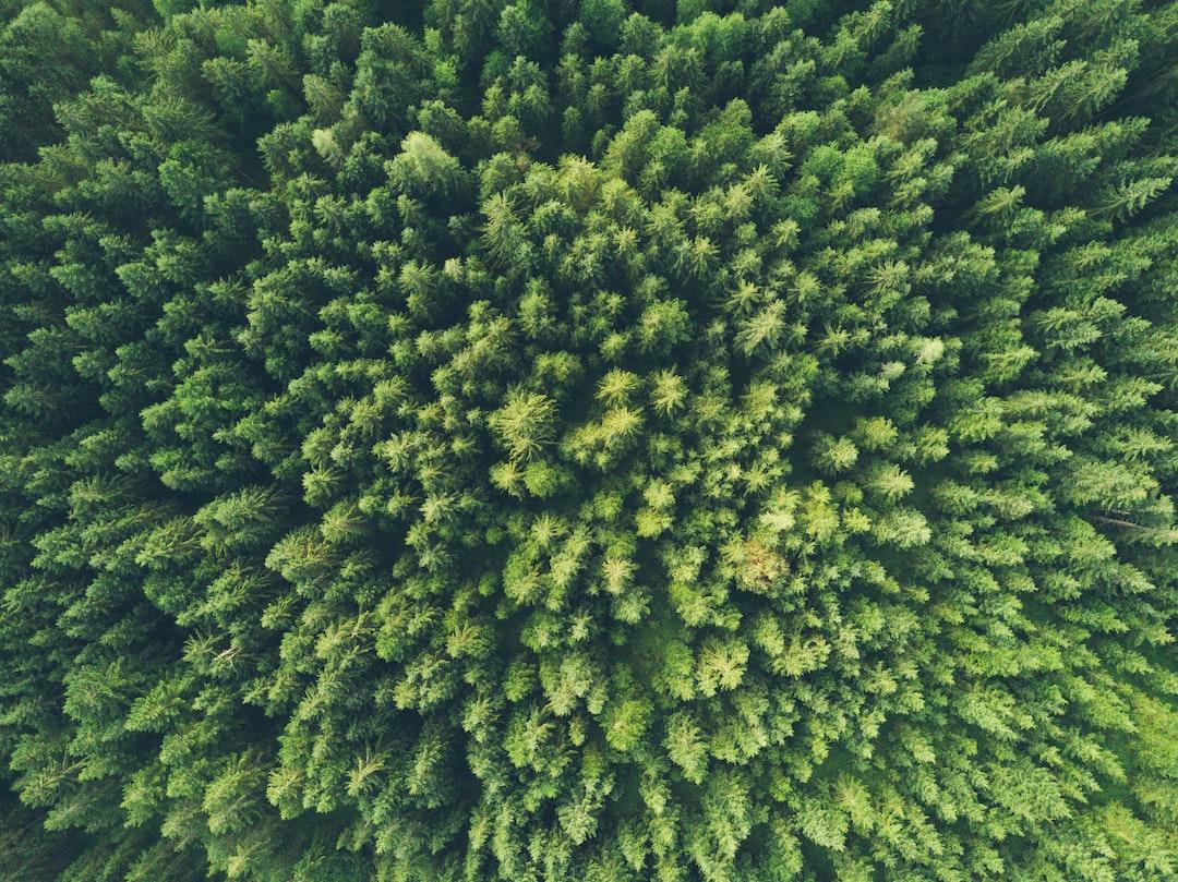 Changing Environments for Fresh Ideas