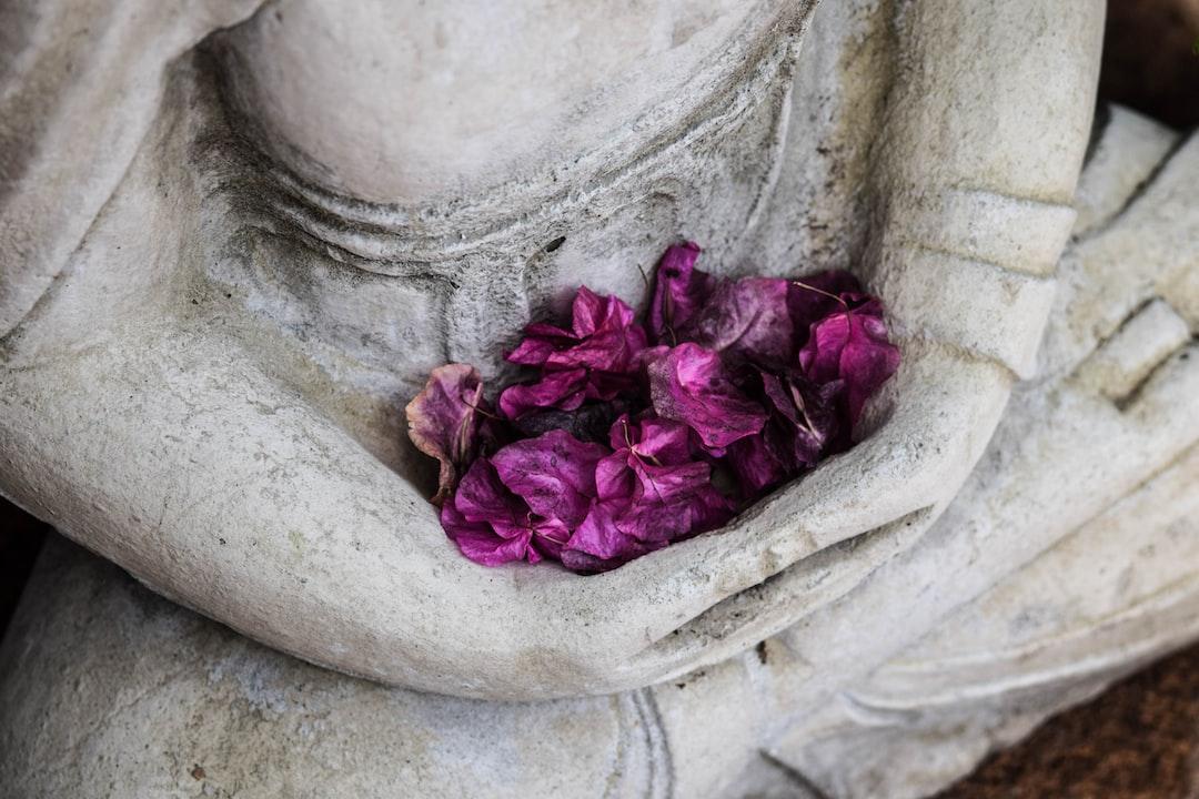 "The Genius Wave" and Meditation for Enhanced Creativity