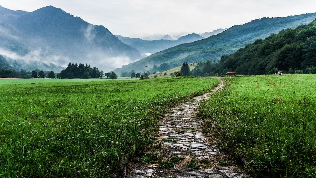 The Path to Prosperity