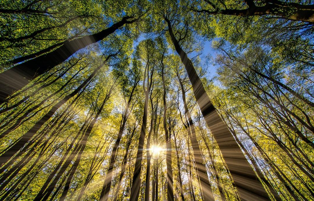 <p>Yielding means inner accept...