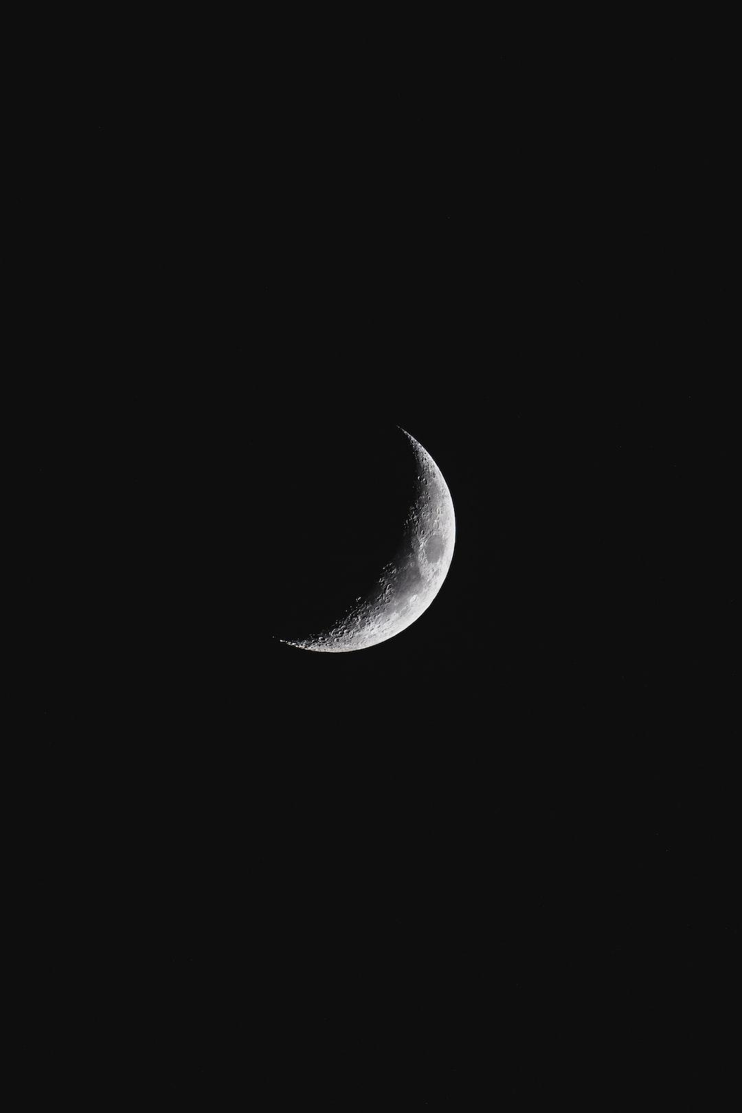 <p>Thought can at best point t...