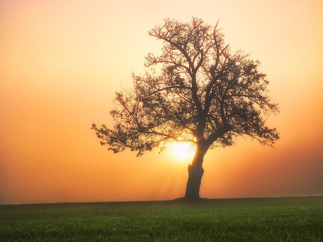 <p>Knowing yourself deeply has...