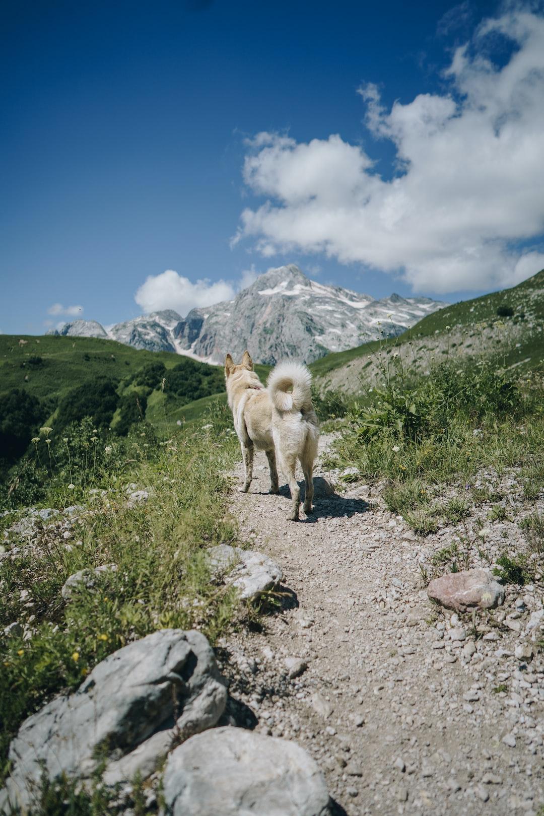 Adventure Awaits: Exploring New Trails