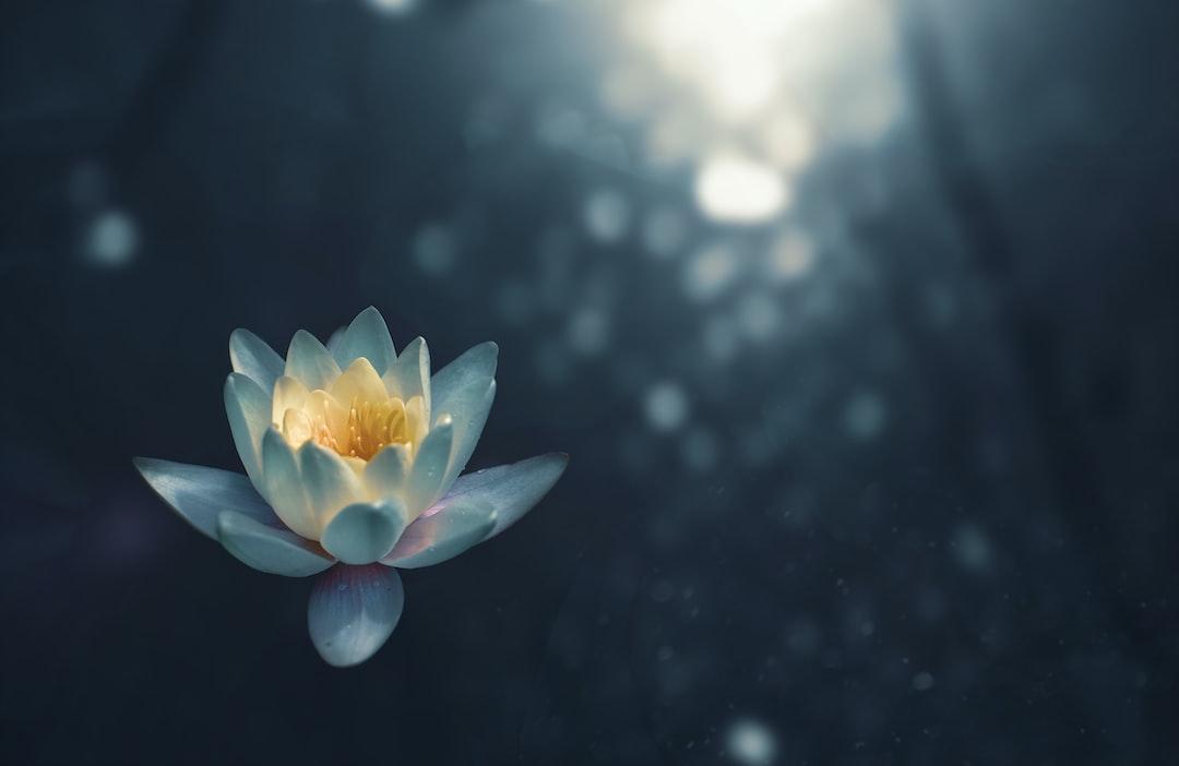 Free Meditation Scripts: Cultivate Mental and Emotional Energy