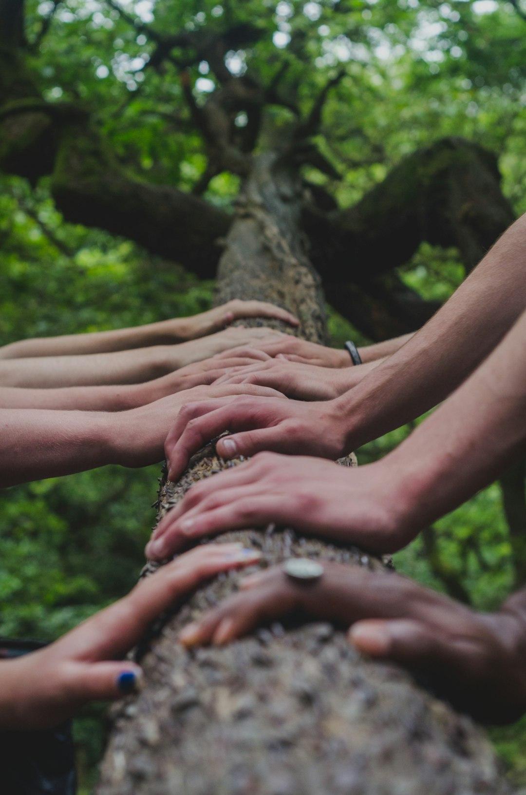 Building a Supportive Network