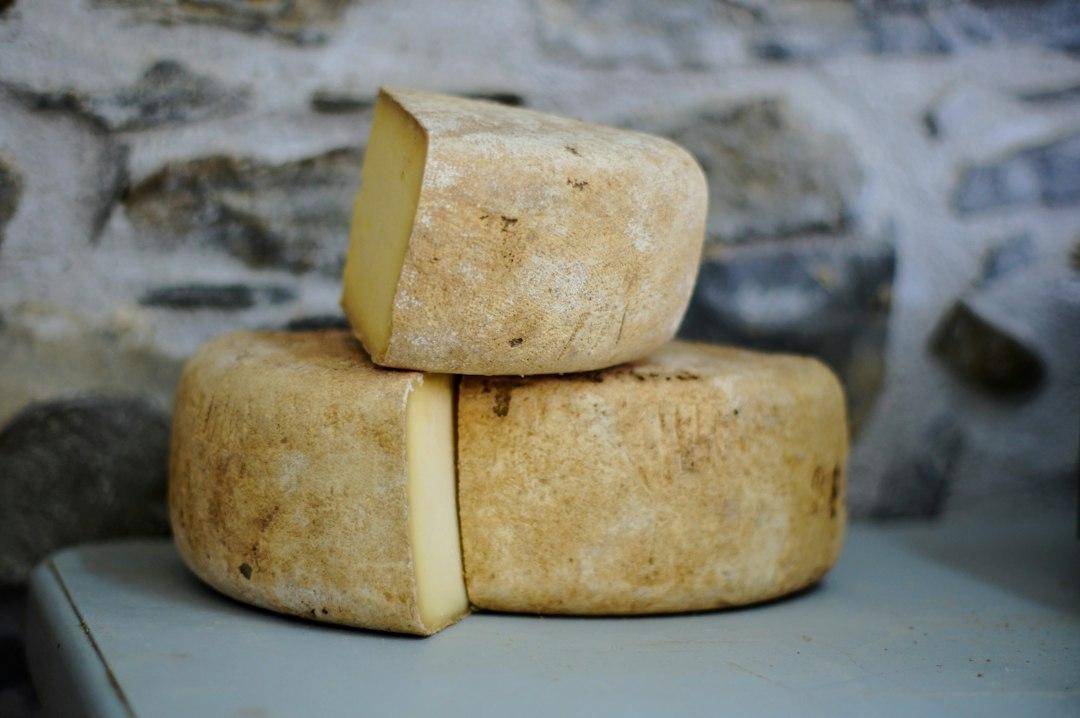 Cheese as a Metaphor