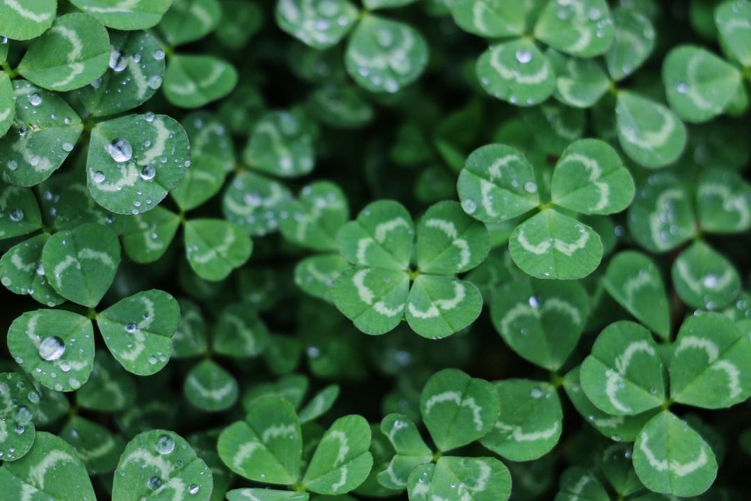 Four kinds of luck in getting rich