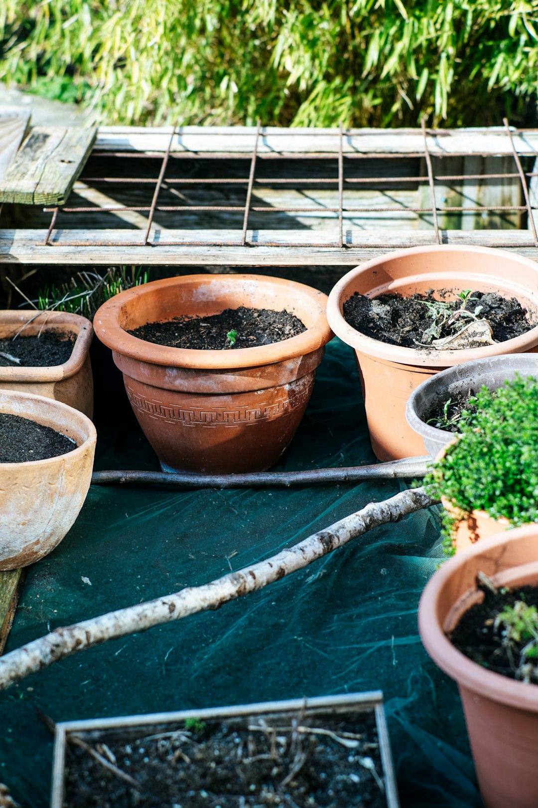 Sustainability and Long-Term Success