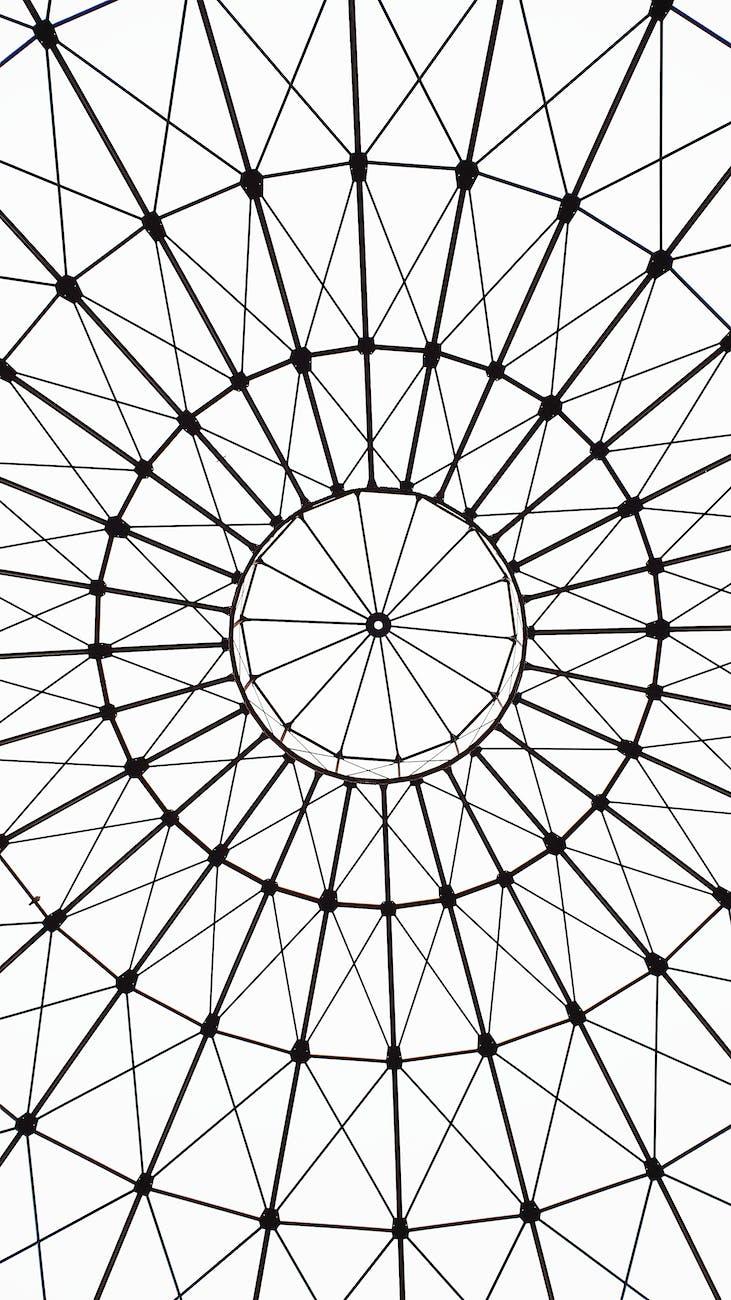 Clear and distinct Ideas