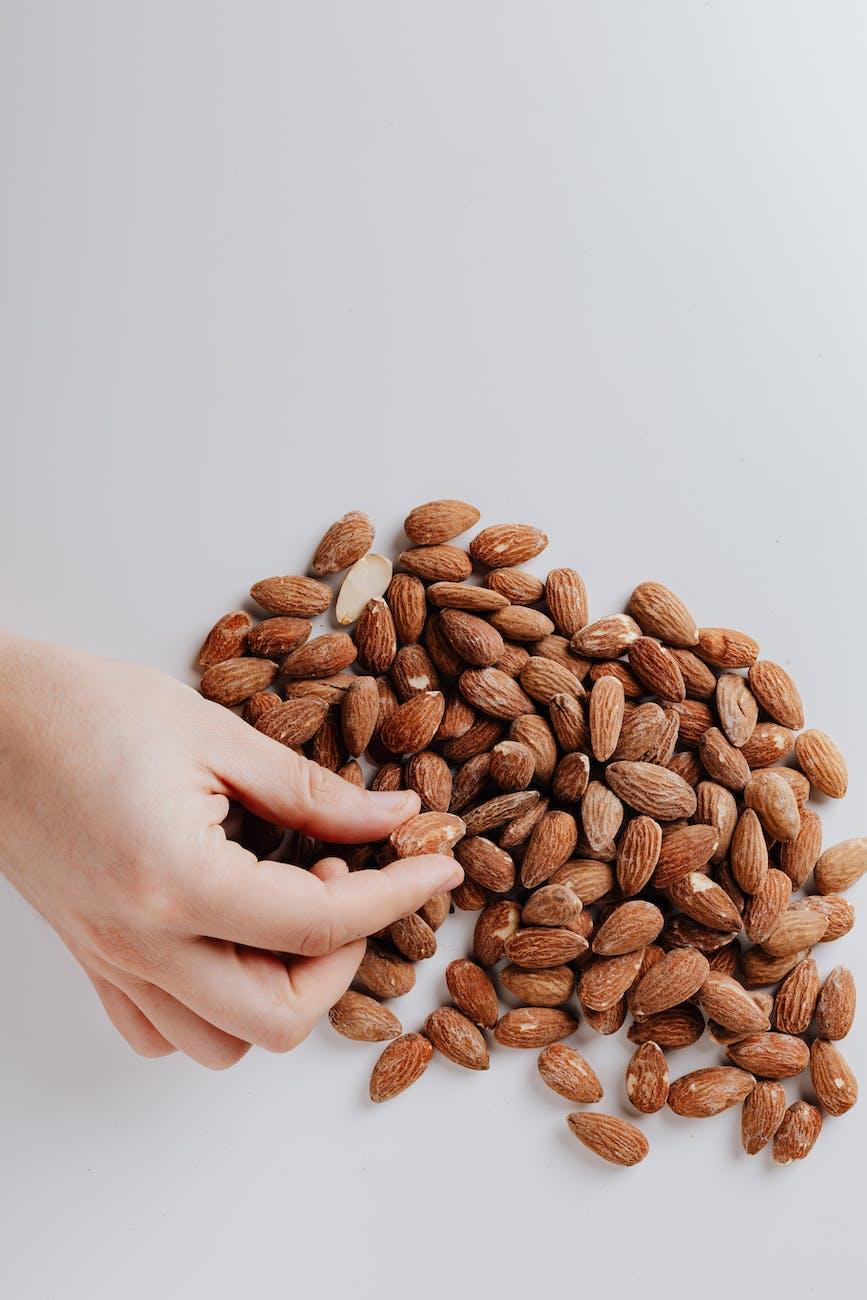 Protein Intake