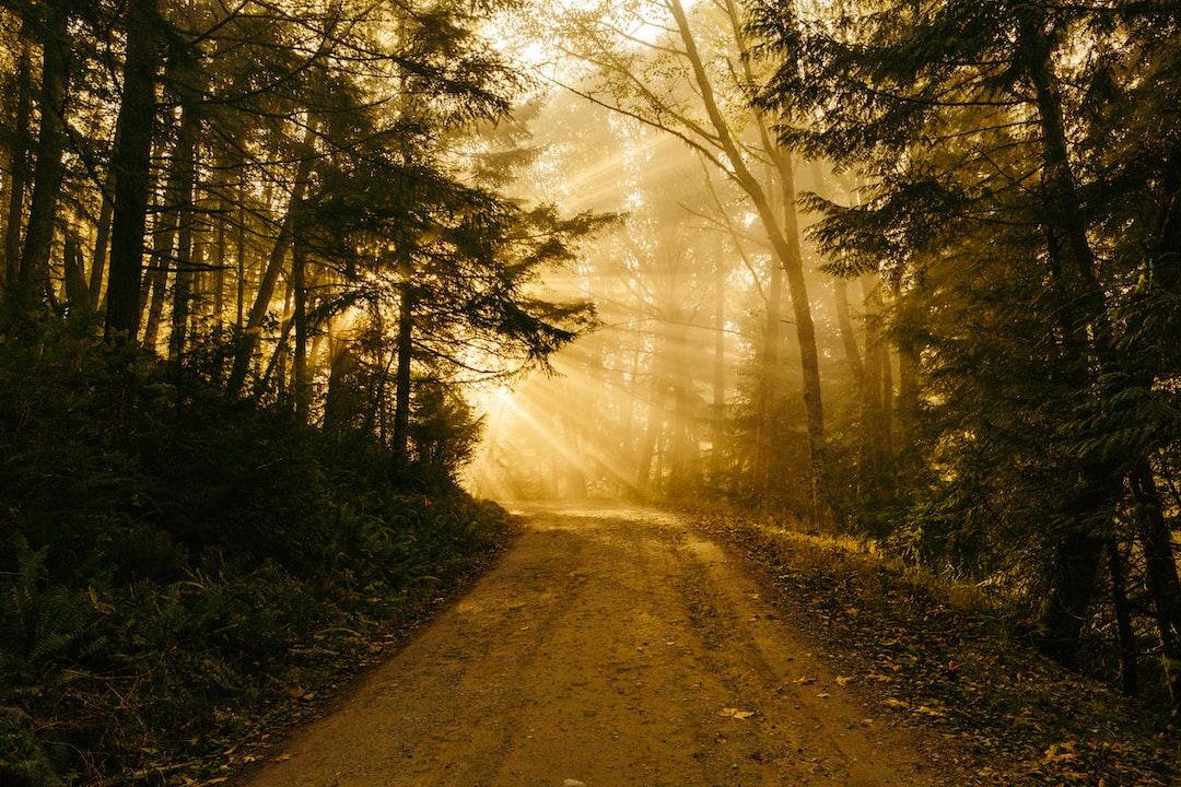 Align Your Path