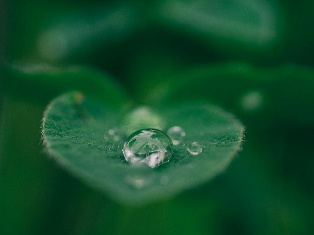 Meditations On : Nature