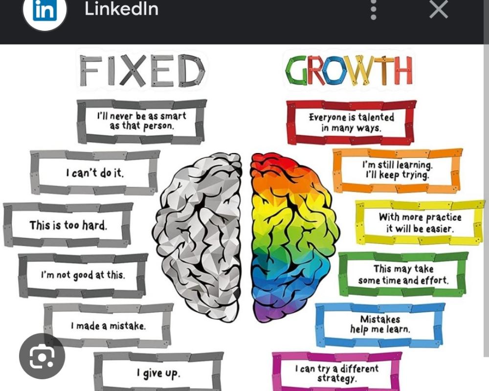 Understanding Mindsets