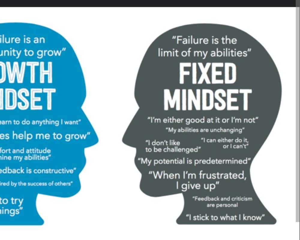 Fixed Mindsets