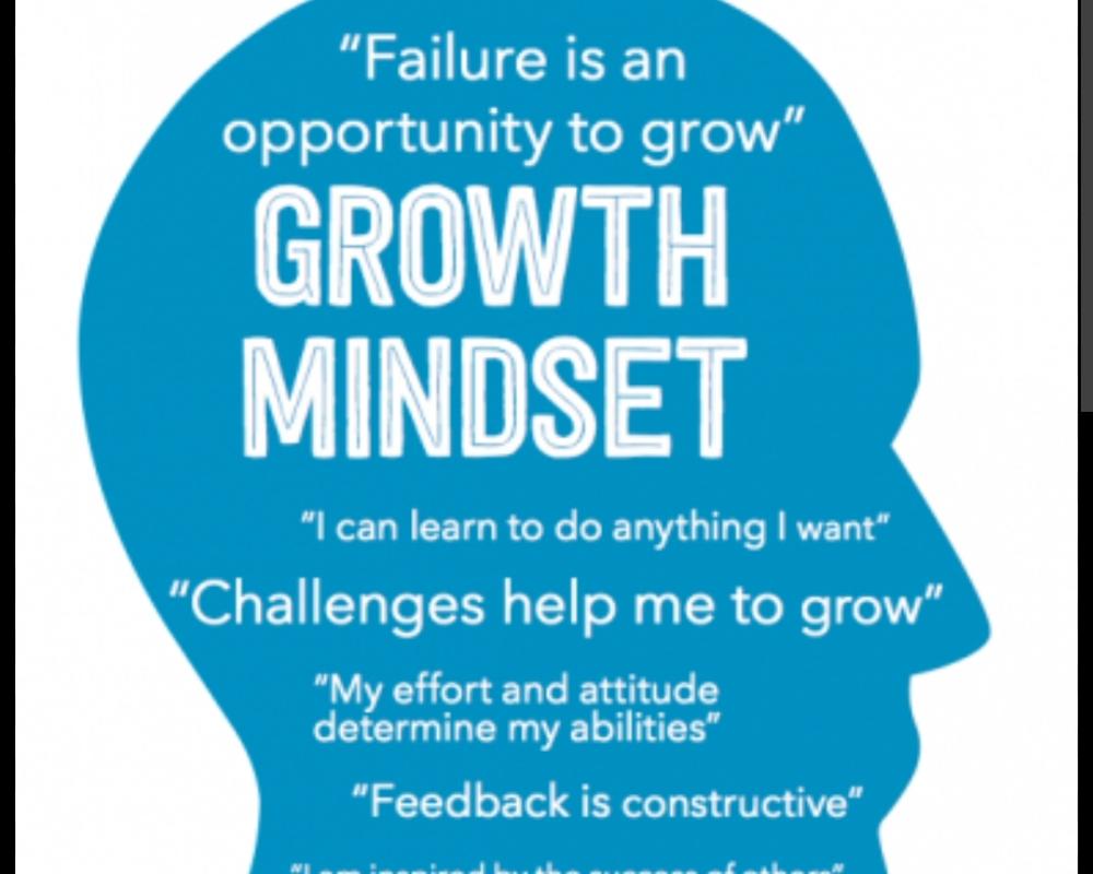 Growth Mindsets