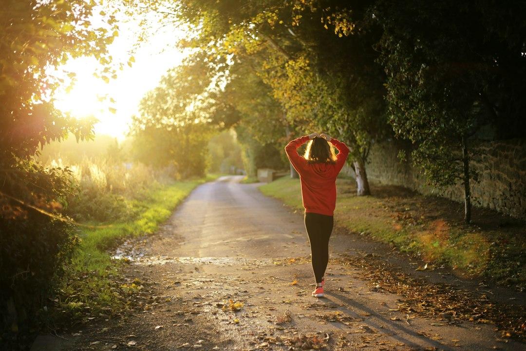 The Six Pillars Of Health