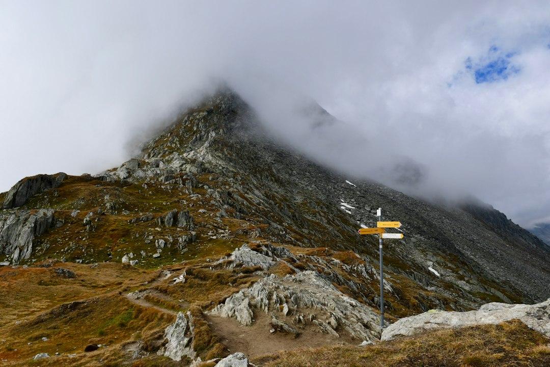 Auf dem Weg zu einem erfüllten Leben