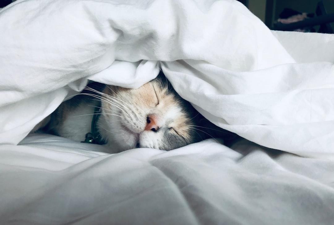 Improving Sleep Quality