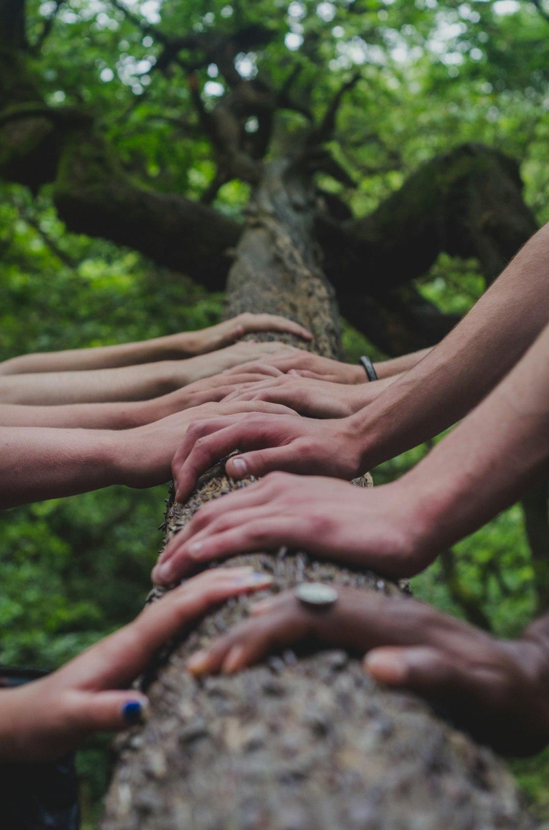 The Power of Connection: Networking and Sharing Your Passion