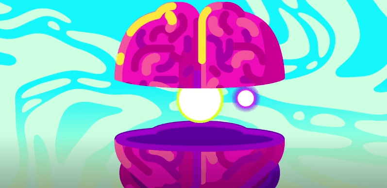 Measuring the Mind: The Search for the Seat of Intelligence