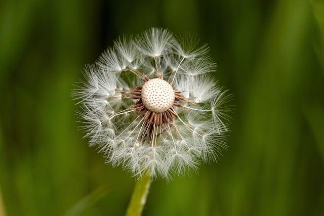 Resilience Is Essential