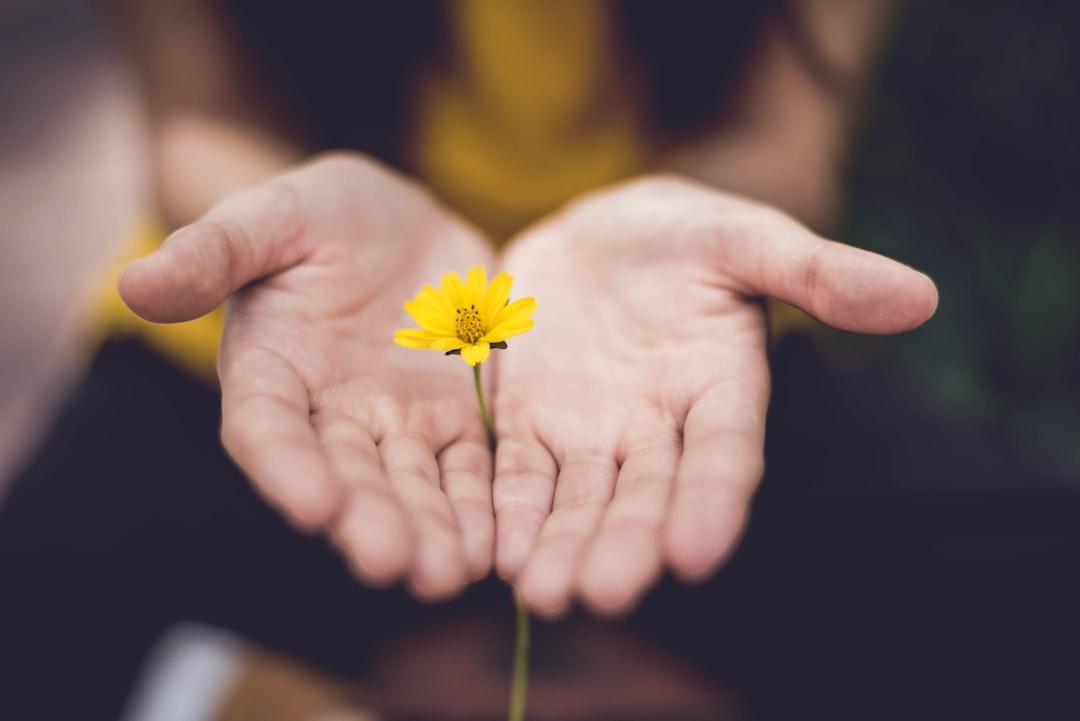 Give Something Up