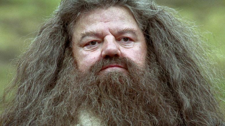 RUBEUS HAGRID