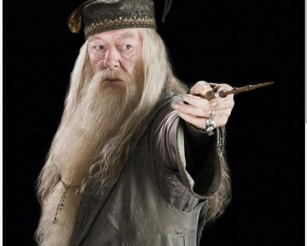 ALBUS DUMBLEDORE