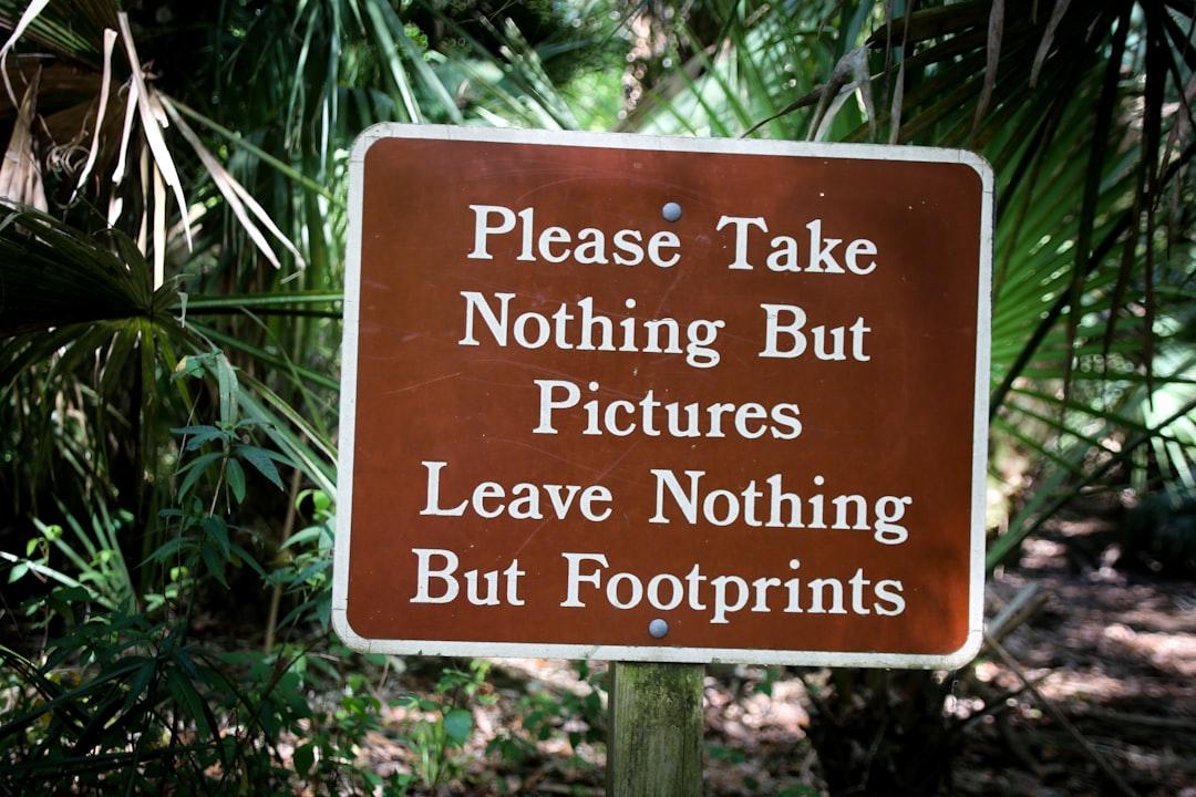 The Power of Taking Responsibility for Your Actions
