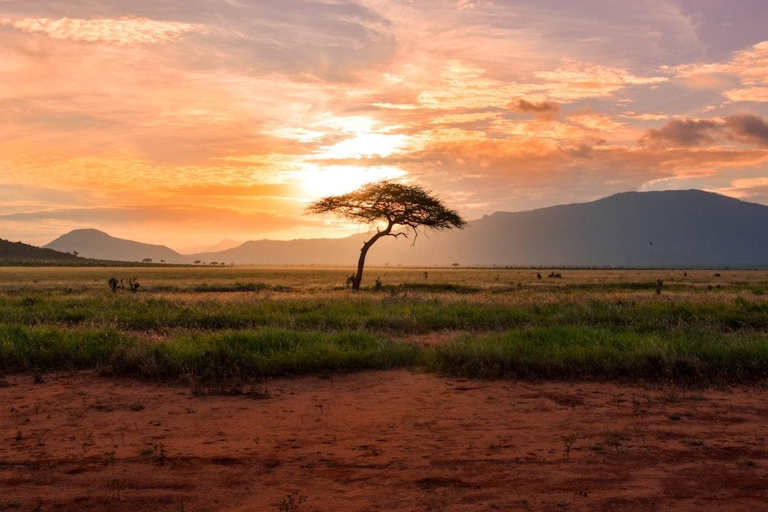 The Finite Nature of Life and Personal Fulfillment