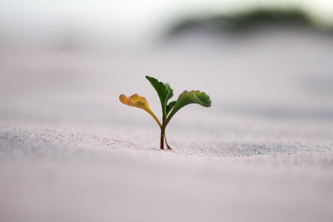 Cultivating Passion for Enhancing Personal Growth