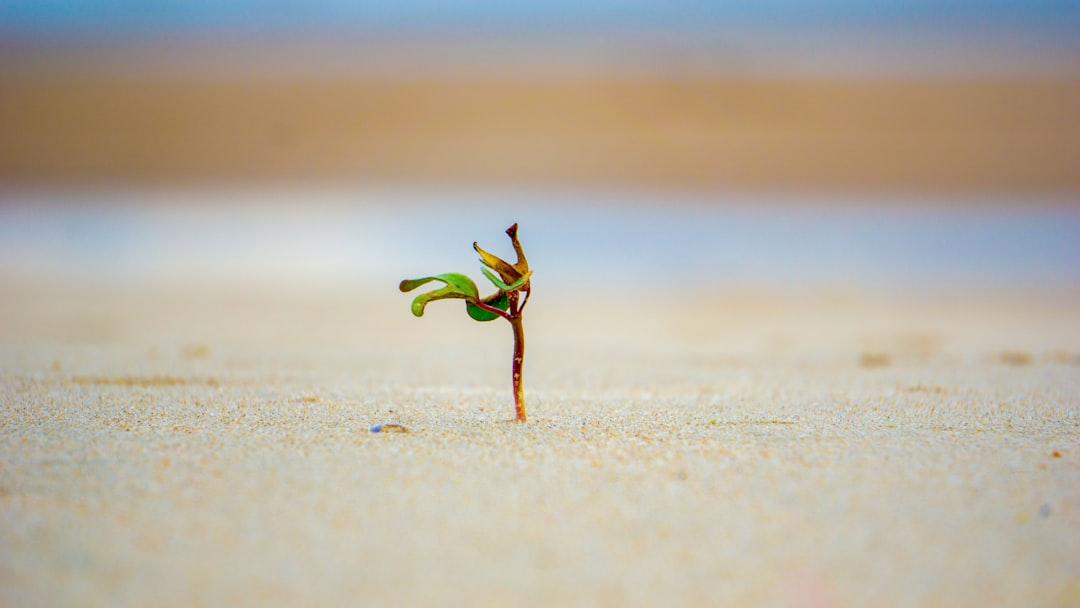 Finding Meaning in Struggle