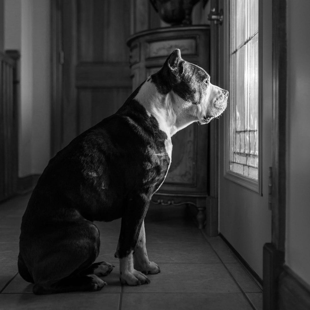 Mastering Concentration