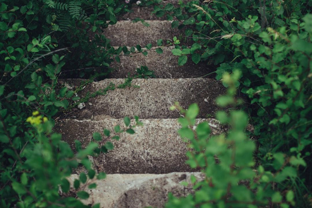 An Eight-Step Plan (Continued)