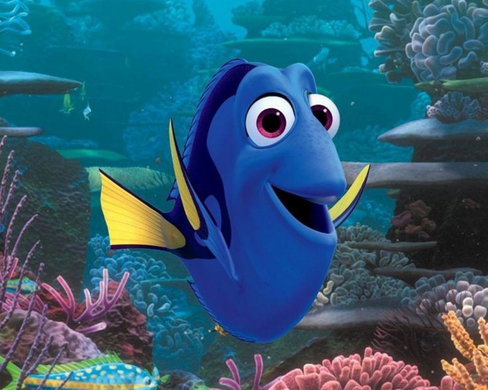 DORY