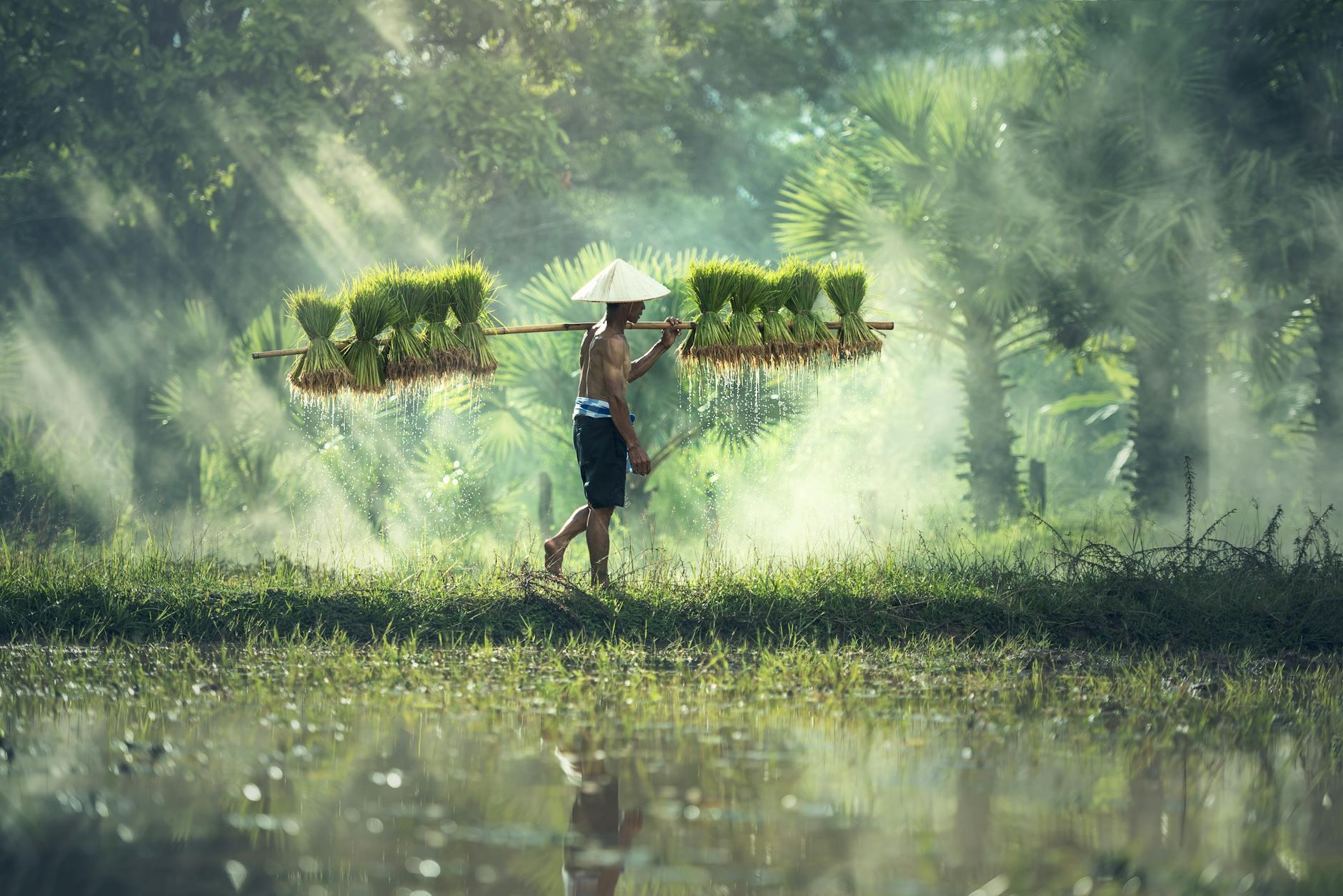 Cultivating Resilience