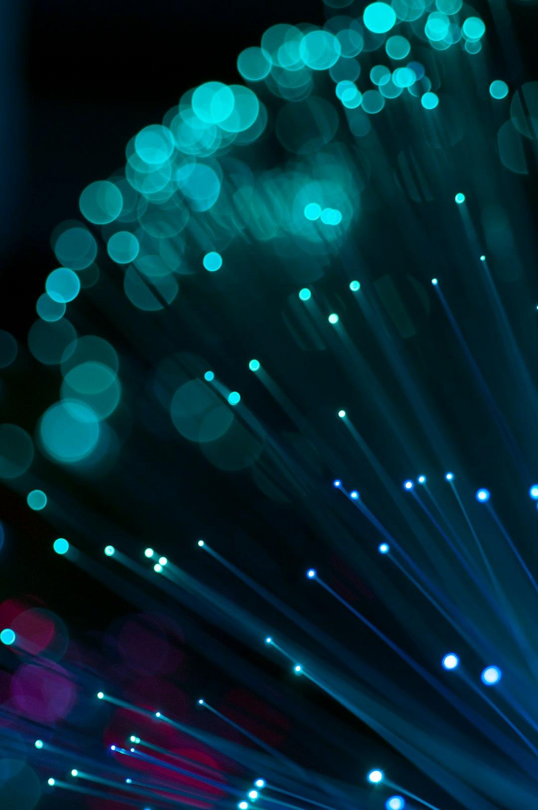 The Future of the Internet