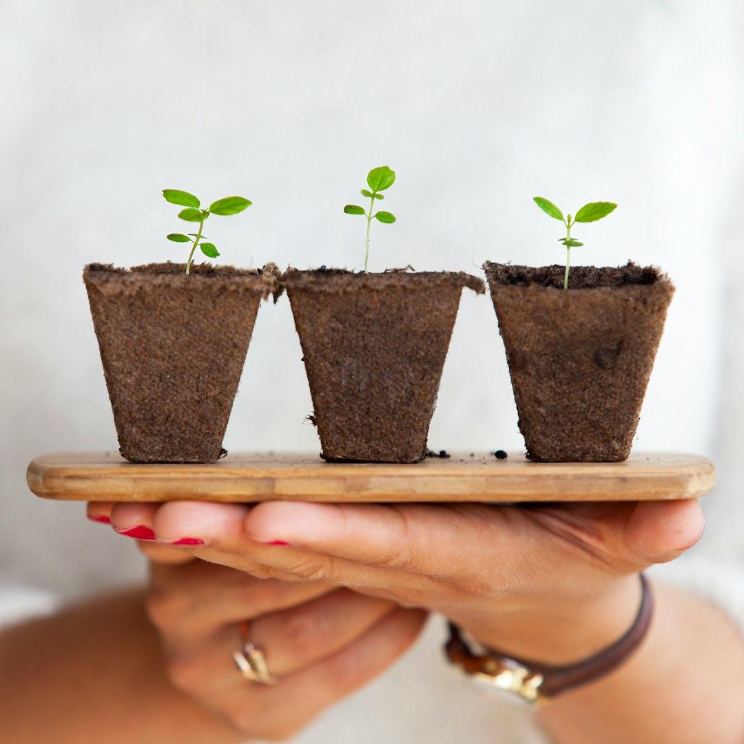 2. Grow Something