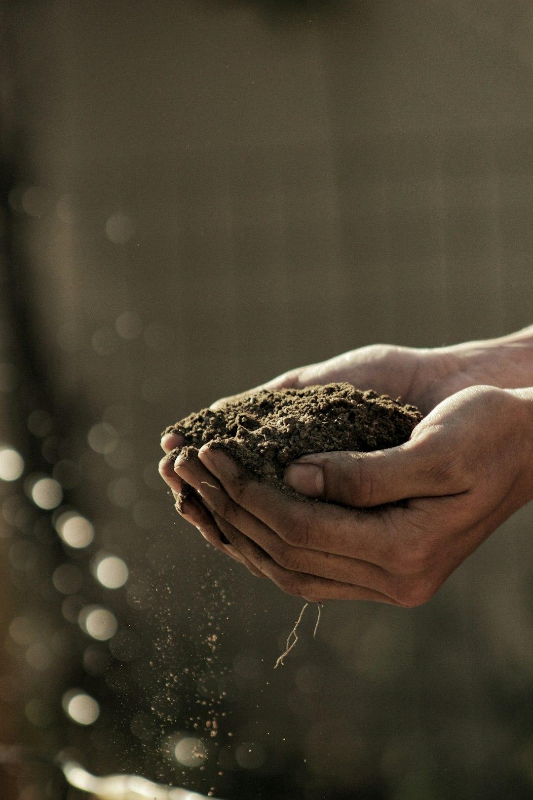 3. Build Soil