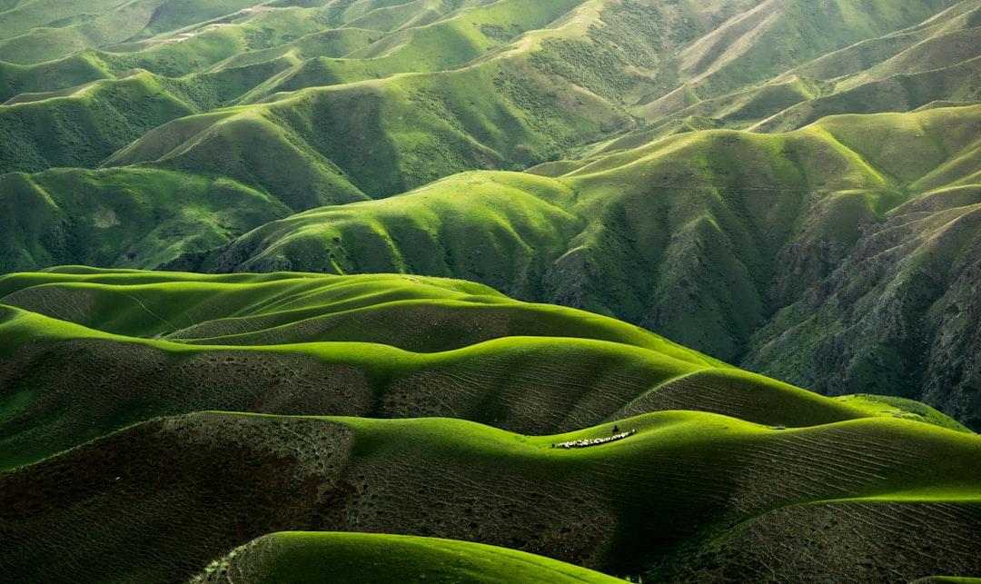 5.Observe Patterns in Nature