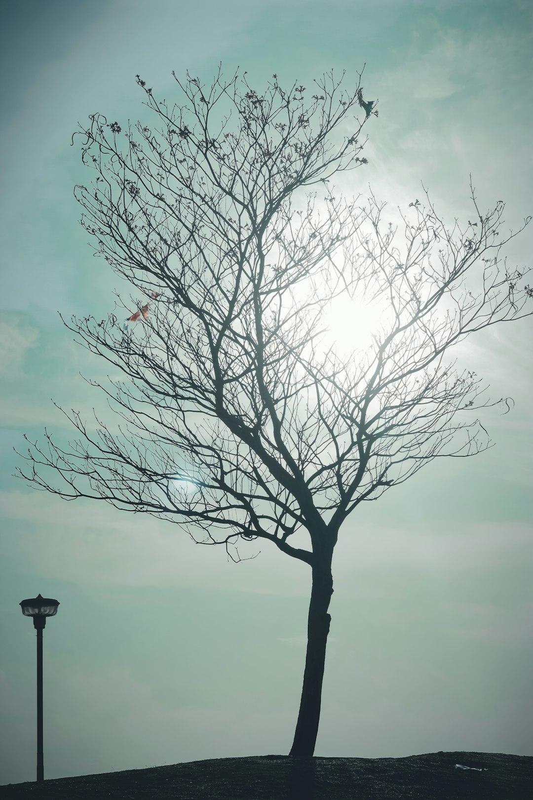 Never Give Up
