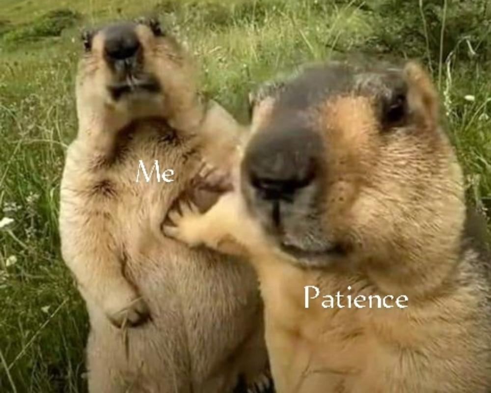 Patience