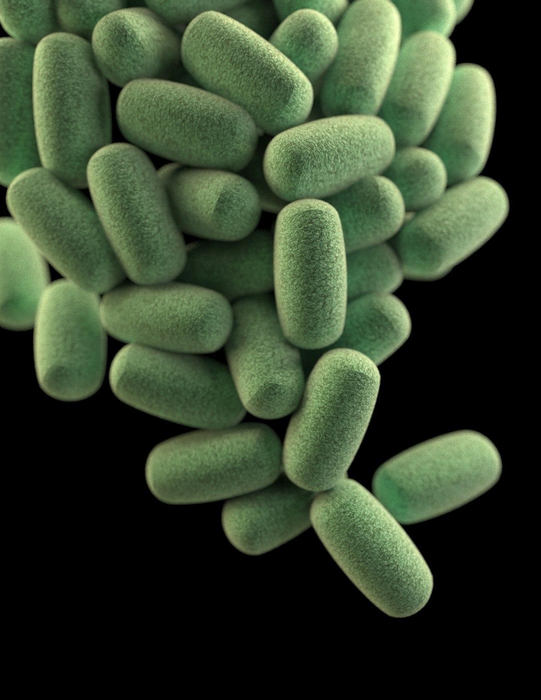🌱 Role of Microbiome