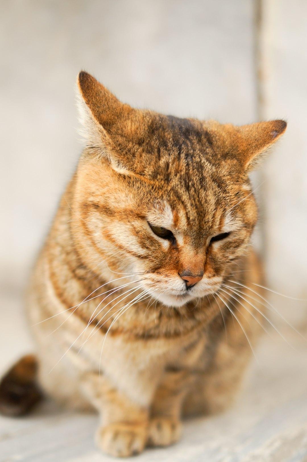 Dealing With Shame