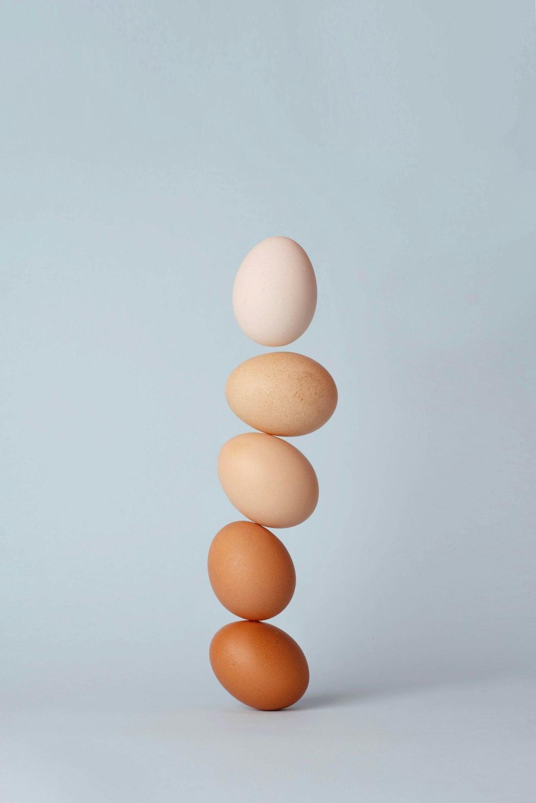 Achieving Balance: The Key to Household Harmony