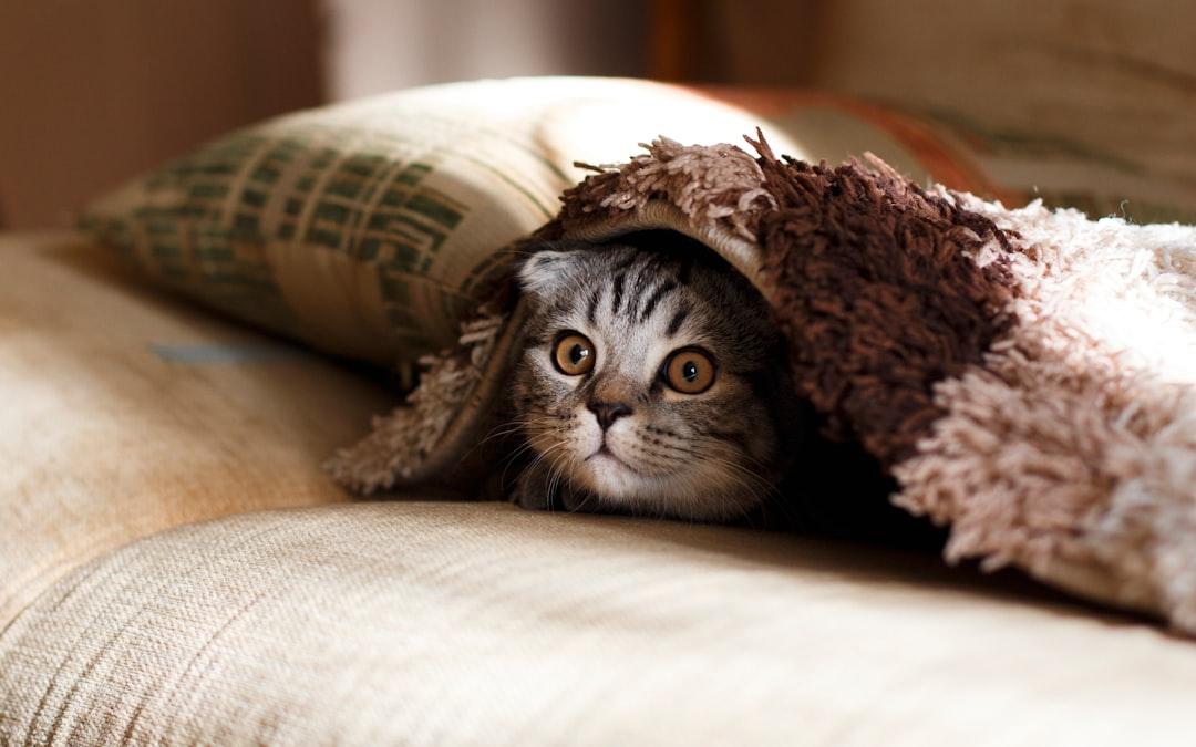 The Invisible Workload: Uncovering Hidden Responsibilities