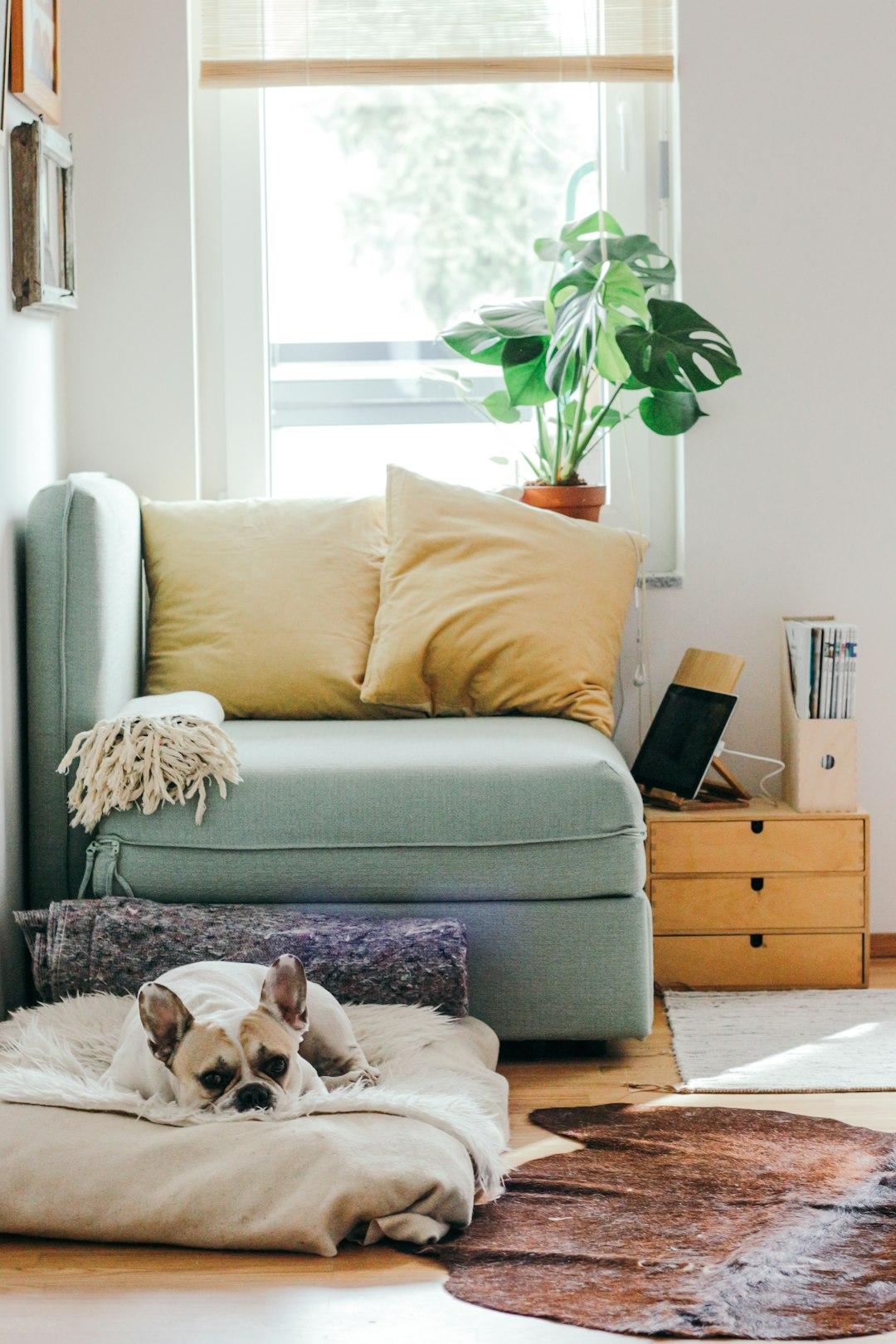 Creating a Collaborative Partnership at Home