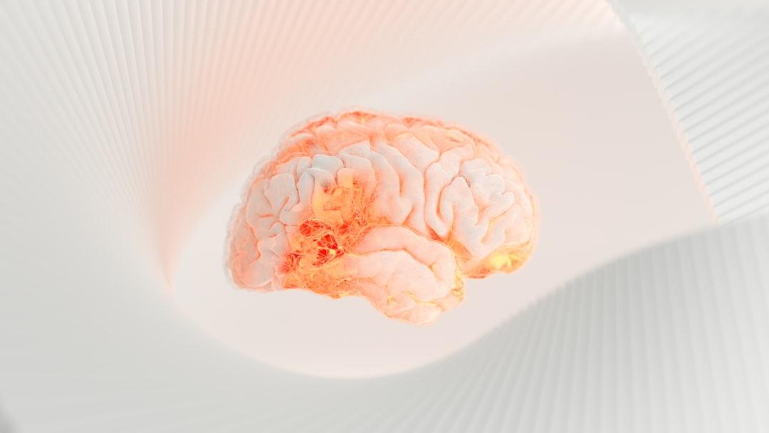 The Role of the Prefrontal Cortex