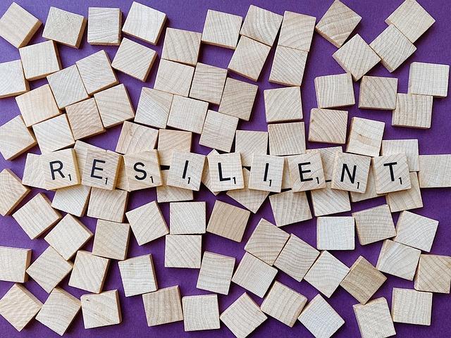 Resilience and Growth